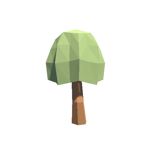 stump tree_2